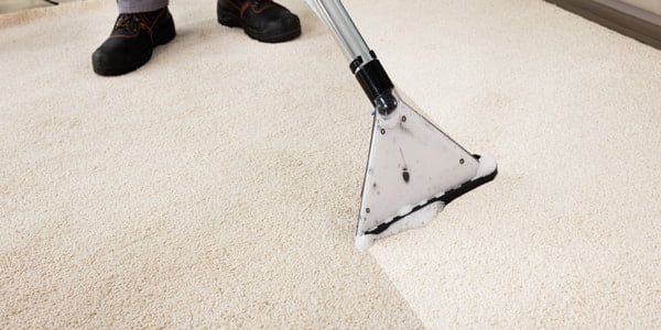 Carpet Cleaning in Lexington
