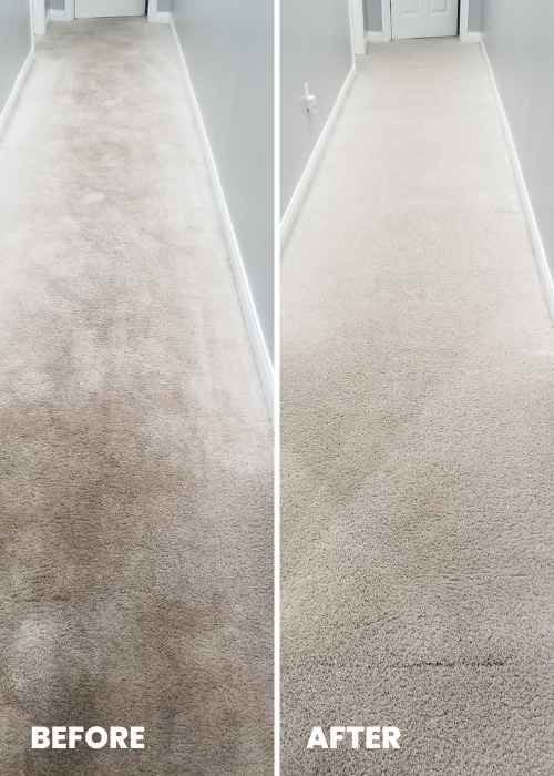 carpet cleaning for lexington ky