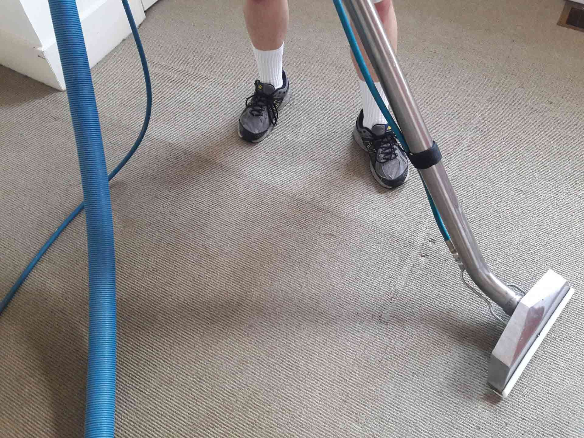Carpet Cleaning Paris, KY 53 carpet-cleaning-paris-ky-hero