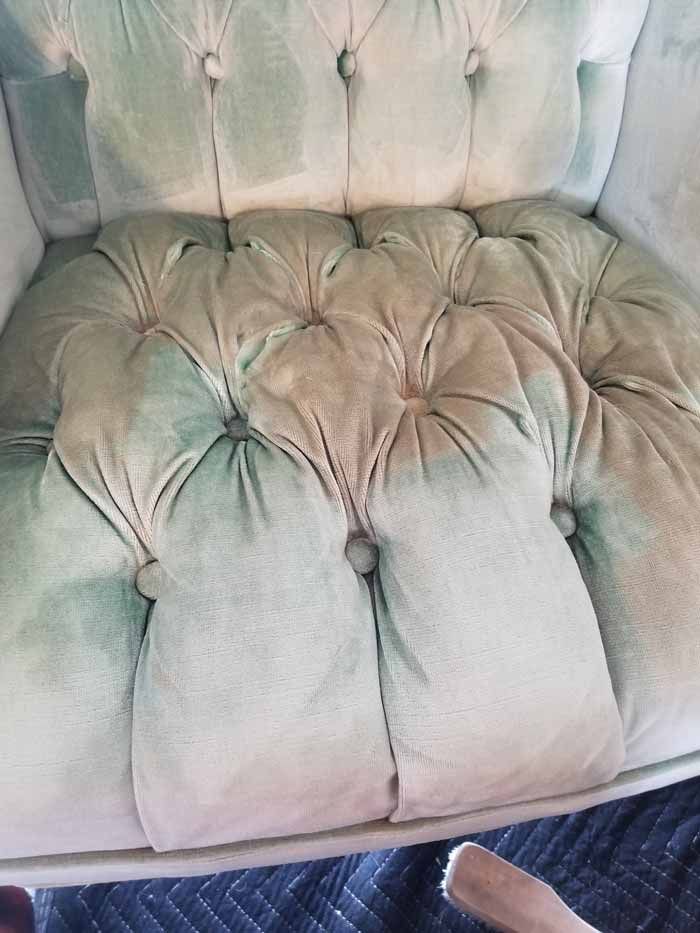 Upholstery Cleaning Versailles, KY 29 Upholstery Cleaning Results in Versailles