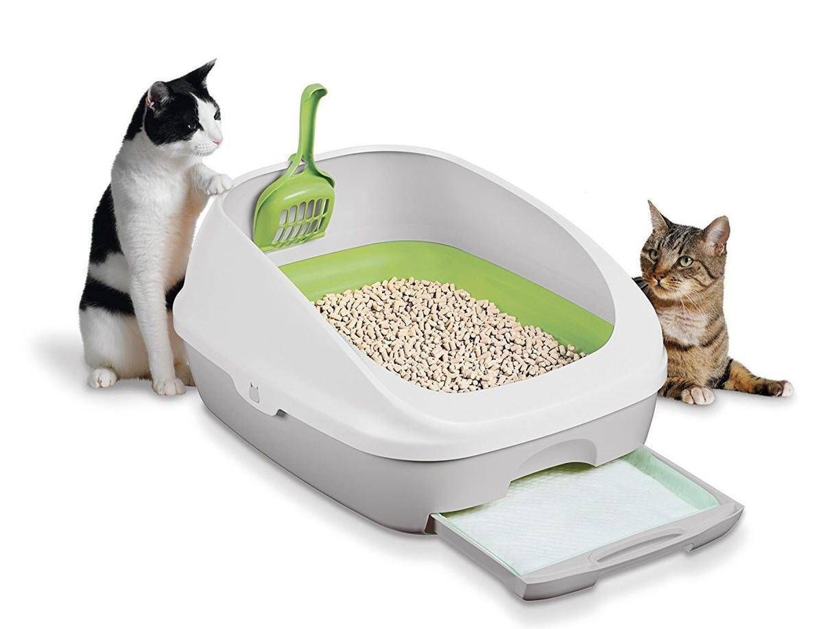 litter box for cats 33697b0d