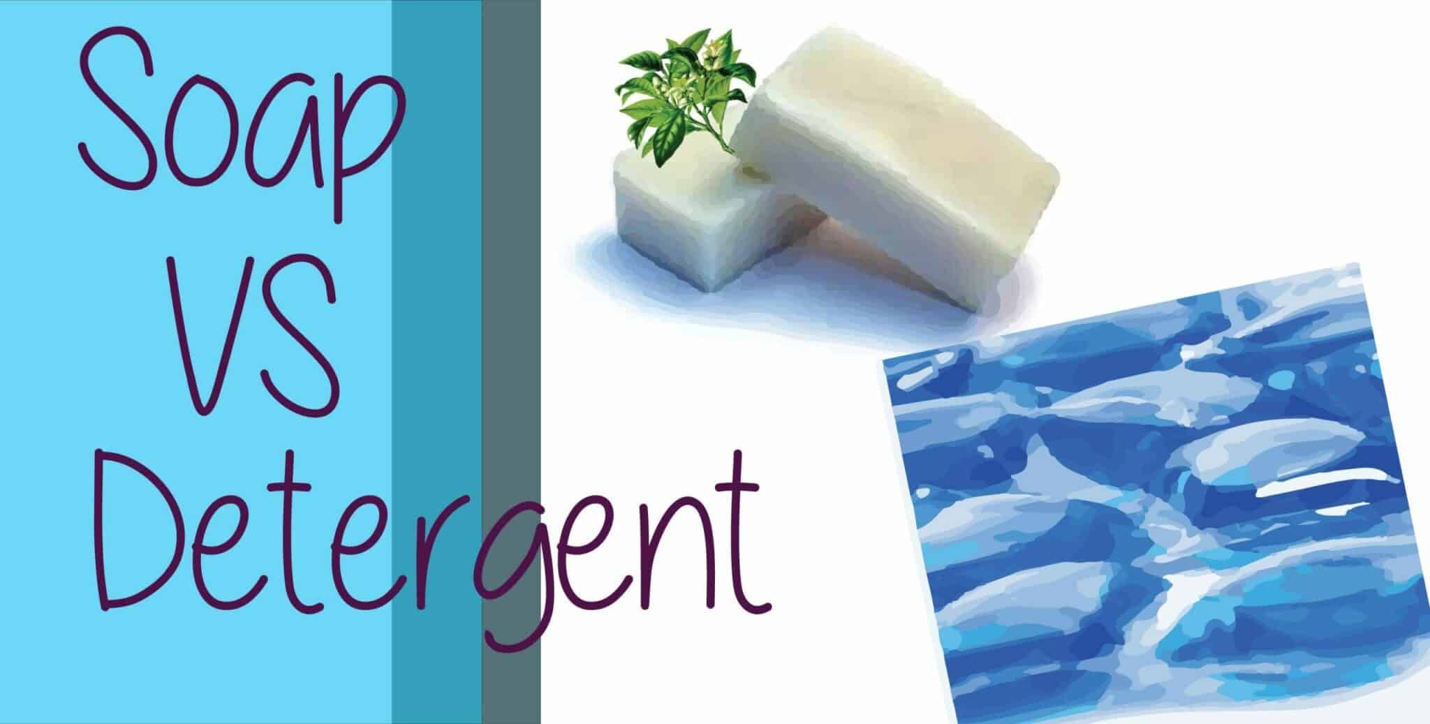 soapvsdetergent 1 scaled 1 3b0f2e9c