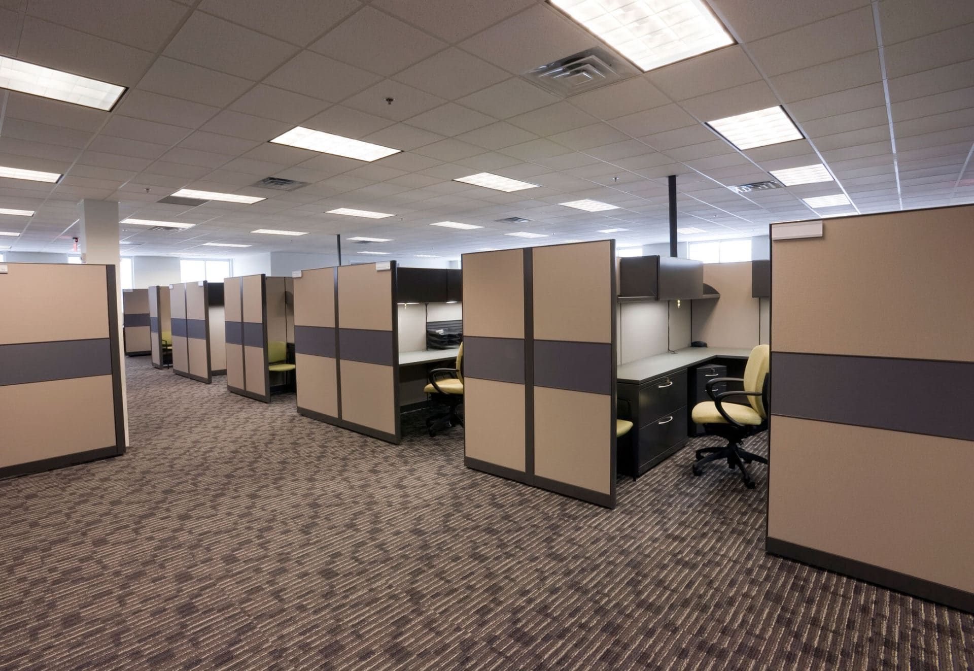 carpet cleaning commercial cubical offices lexington ky e1621191562675 7c93700a