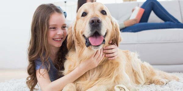 Carpet Cleaning Paris, KY 59 pet-urine-removal-service