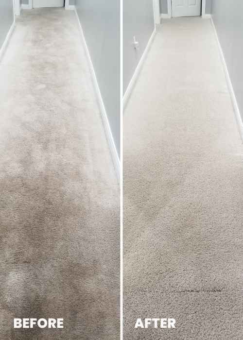 Home 1 Carpet Cleaning Before and After