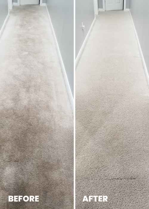 carpet cleaning for Paris ky