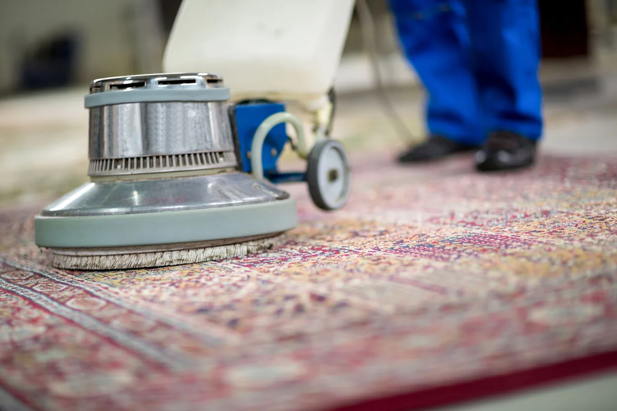aea rug cleaning in lexington ky