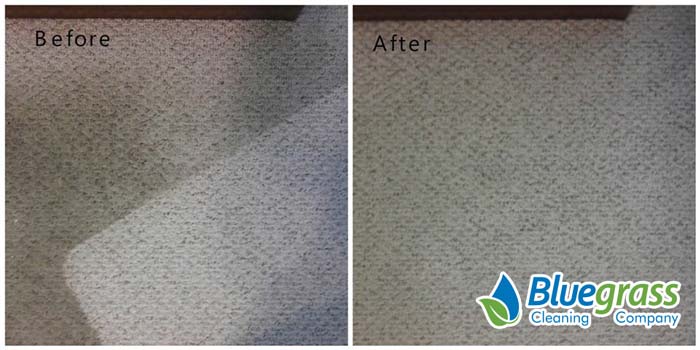 Carpet Cleaning Results