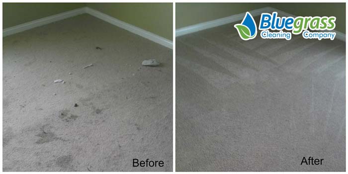 Carpet Cleaning Results