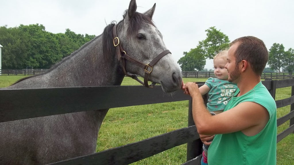 kevin-haven-kentucky